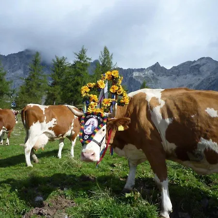 Fogadó Berghof Schladming
