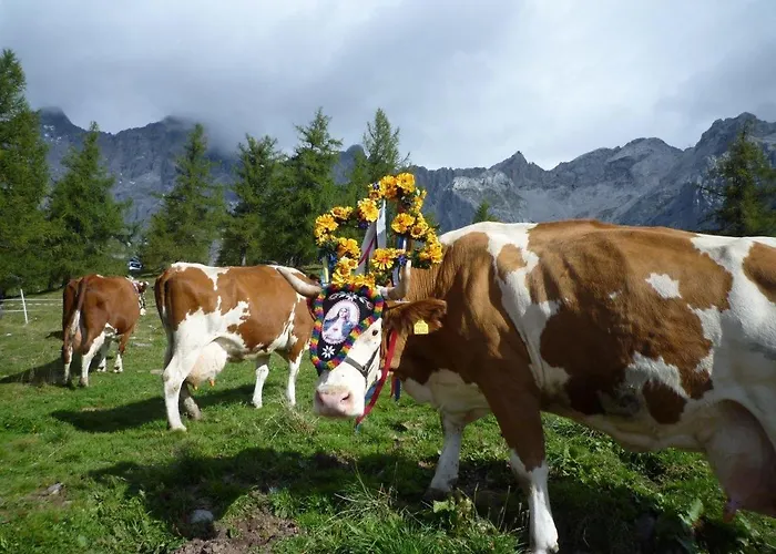 Herberg Berghof Schladming