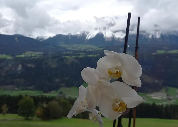 Berghof 3* 斯拉德明